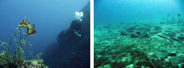 Unterwasser Fotorafie 2